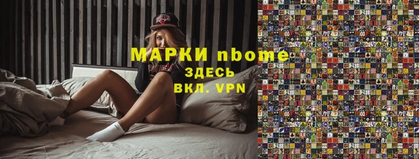 сатива Покачи