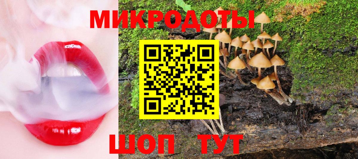 Галлюциногенные грибы Magic Shrooms  цена наркотик  Усть-Лабинск  Вход с VPN 