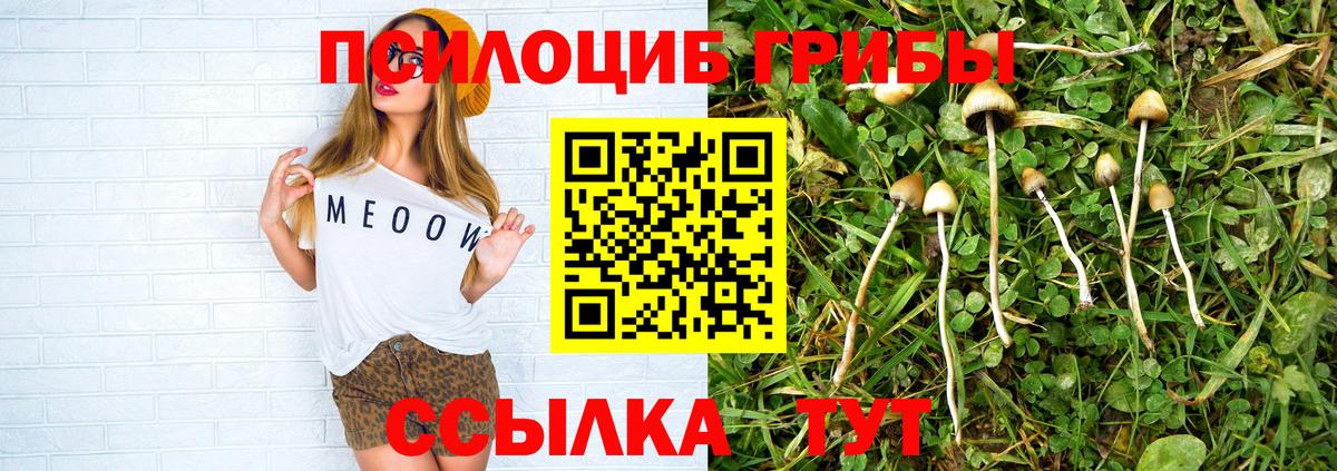 Галлюциногенные грибы мицелий Усть-Лабинск