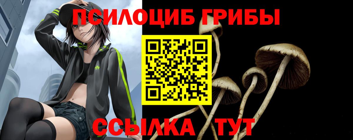 Галлюциногенные грибы мицелий  Усть-Лабинск 